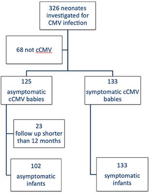 The Natural History of Hearing Disorders in Asymptomatic Congenital Cytomegalovirus Infection